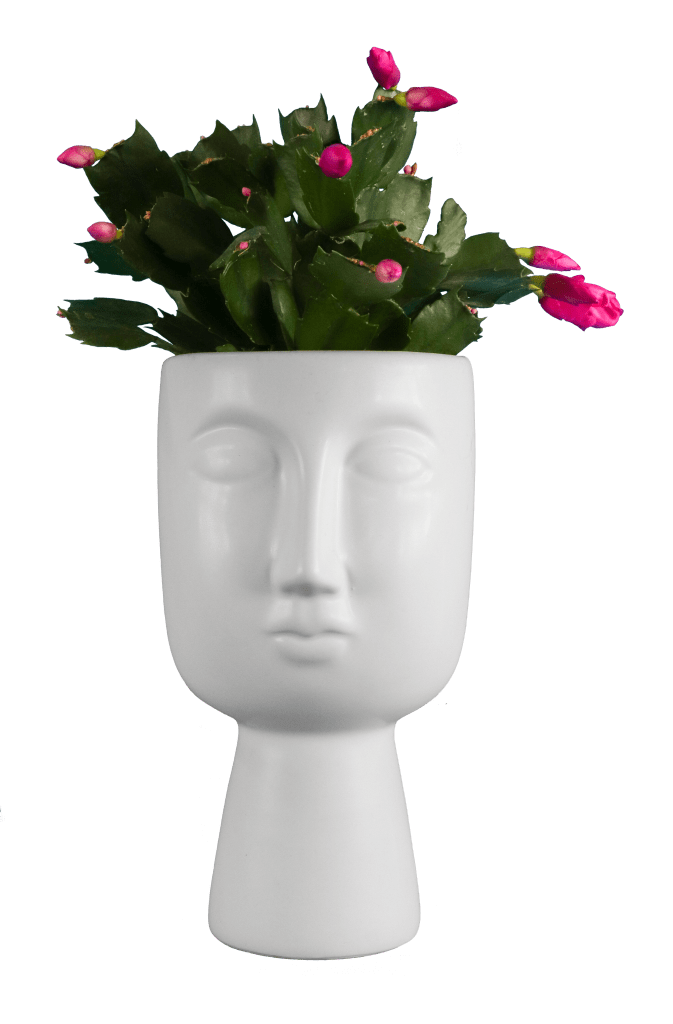 White ceramic planter in the shape of a face, adorned with green cactus leaves and pink flower buds appearing like hair.